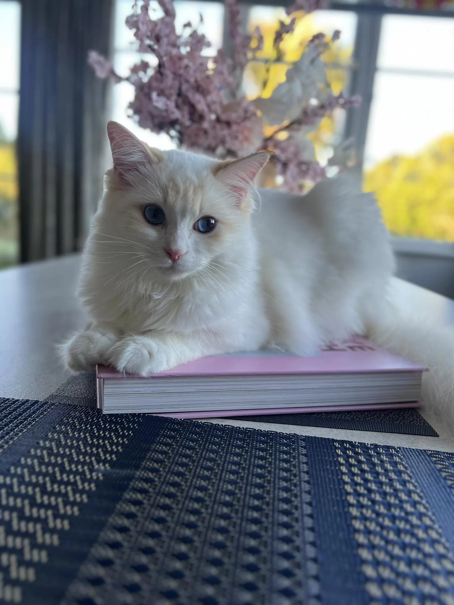 Ragroyalty King Hudson